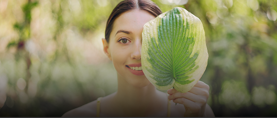 Women’s Health_Ayurveda Pharamcy PCOS, menopause care, hormonal imbalance.